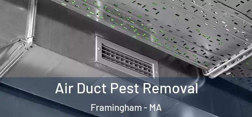 Air Duct Pest Removal Framingham - MA