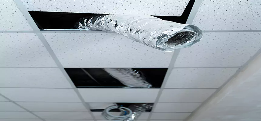 Affordable HVAC Sanitizing After Pest Removal in Framingham