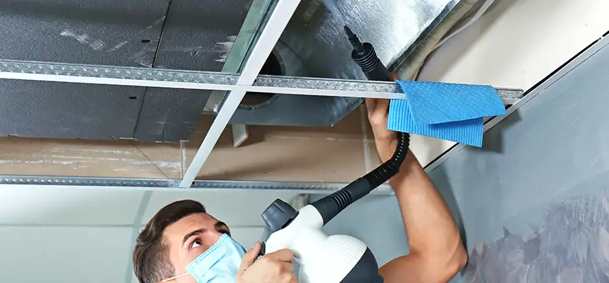 Our Air Duct Rodent Removal Services in Framingham, MA