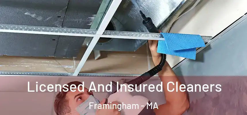 Licensed And Insured Cleaners Framingham - MA