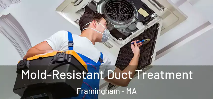 Mold-Resistant Duct Treatment Framingham - MA