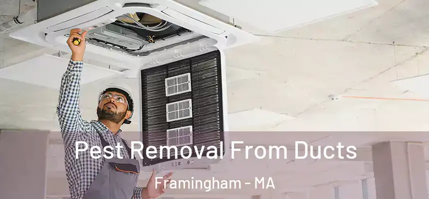 Pest Removal From Ducts Framingham - MA