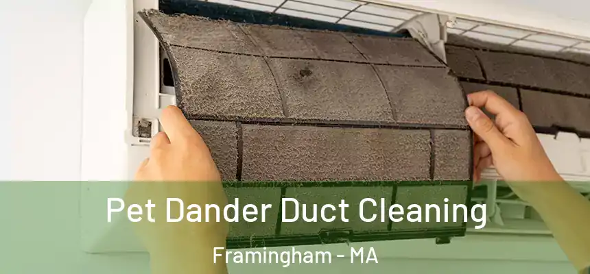 Pet Dander Duct Cleaning Framingham - MA