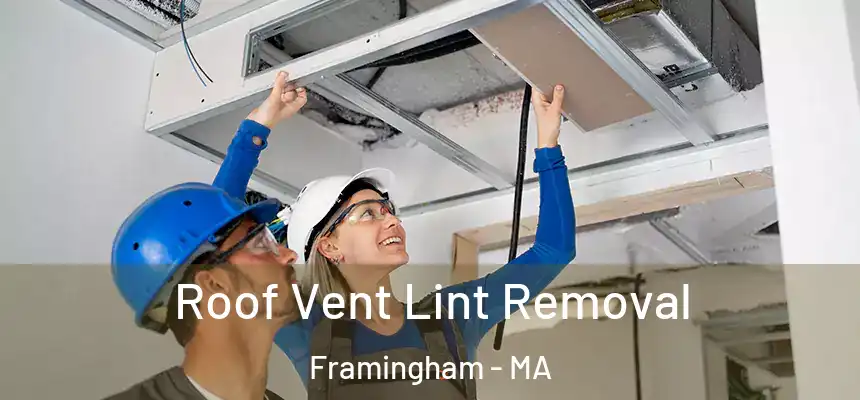 Roof Vent Lint Removal Framingham - MA