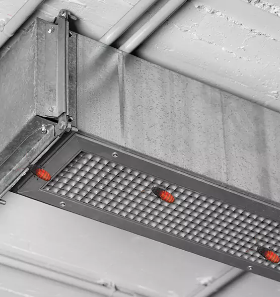 Affordable Insect Removal from Air Ducts in Framingham, MA