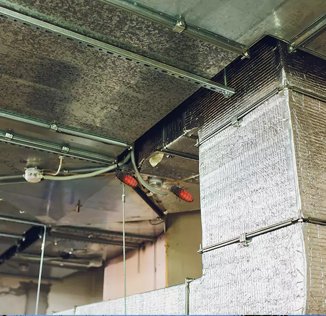 Why Homeowners & Businesses Trust Us in Framingham, MA?