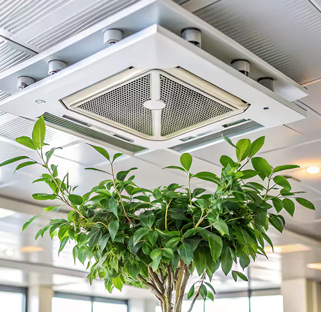 Why Homeowners & Businesses Trust Us in Framingham, MA