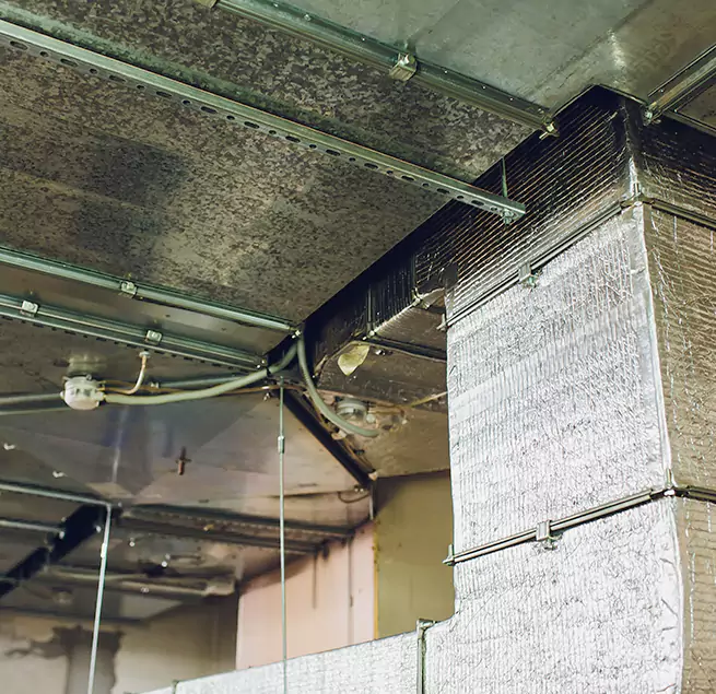 Why Homeowners & Businesses Trust Us in Framingham, MA?